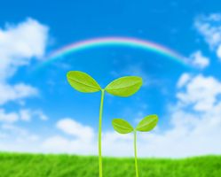 Fotolia_24354198_Subscription_XXL